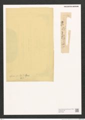 Synedra sp. (de-Toni-Nr.: Genus 66) Zeichnungen Sammlung Grunow (NHMW-BOT-W0373530)